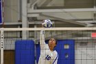 Wheaton Women's Volleyball  Wheaton Women's Volleyball vs Smith College. - Photo by Keith Nordstrom : Wheaton, Volleyball, Smith